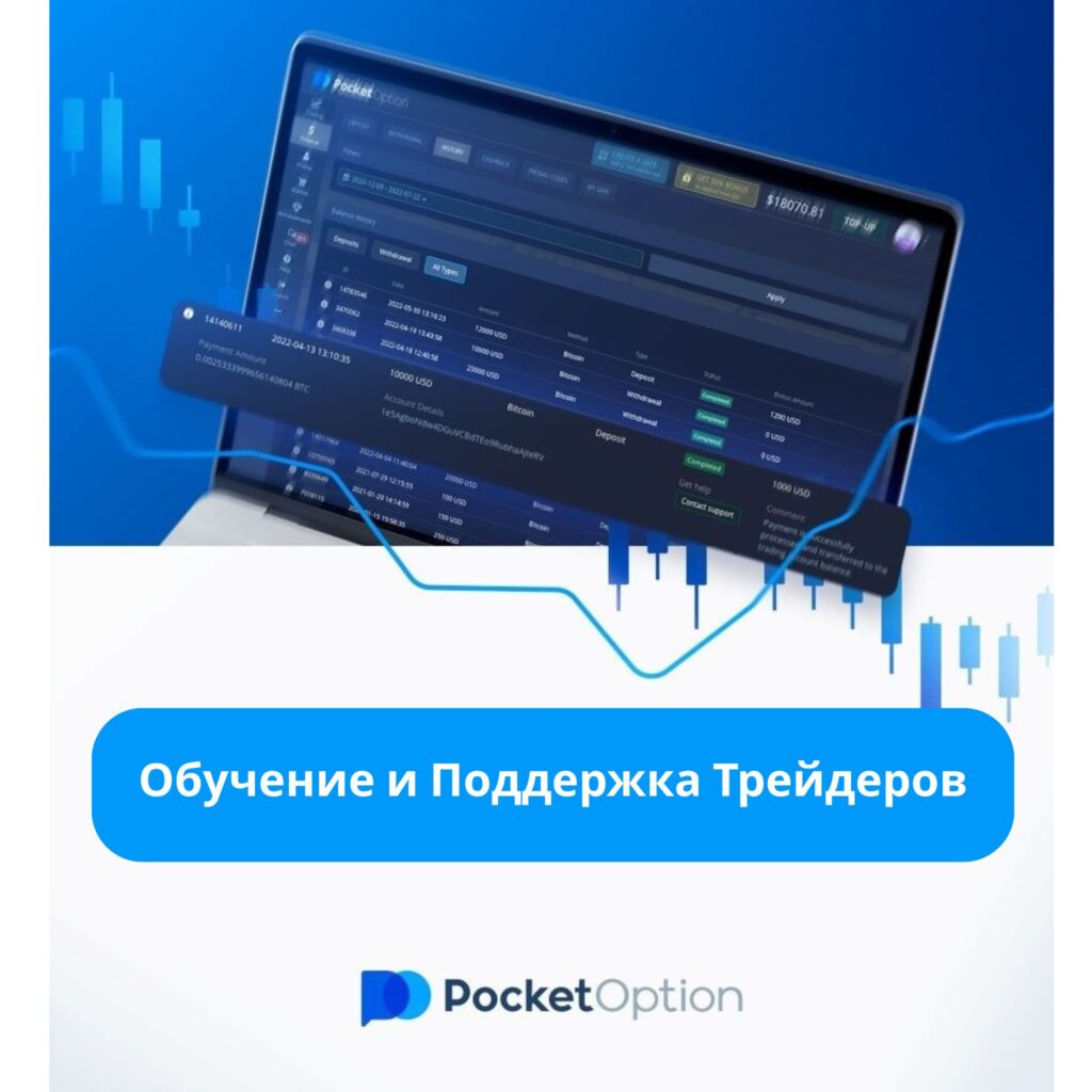 Обучение и поддержка трейдеров.
